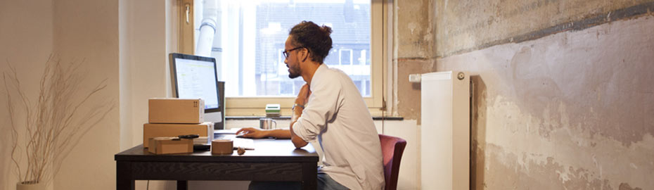 Banking-Browser VR-Protect