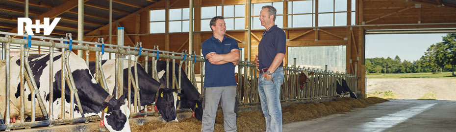 Ertragsschadenversicherung