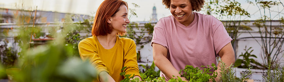 Private Rentenversicherung