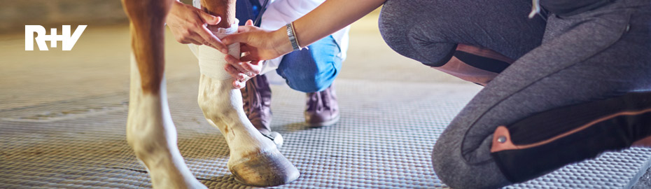 Pferde-OP-Versicherung 