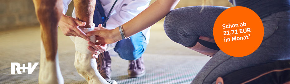 Pferde-OP-Versicherung